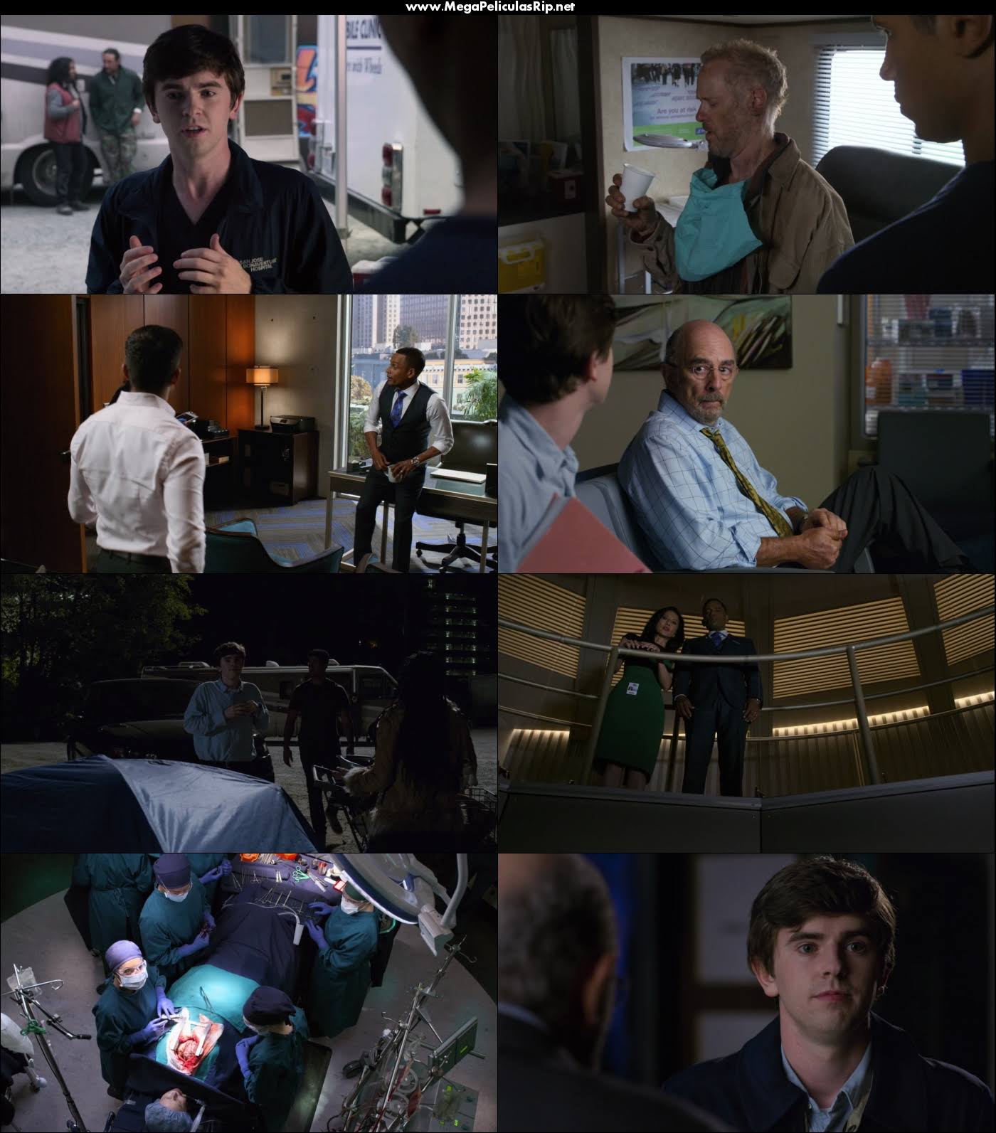 The Good Doctor Temporada 2 720p Latino