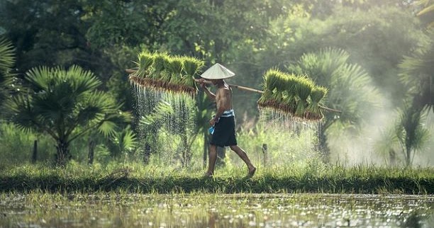 Mengenal Bahasa Sunda Banten Yang Sering Di Gunakan Sehari Hari