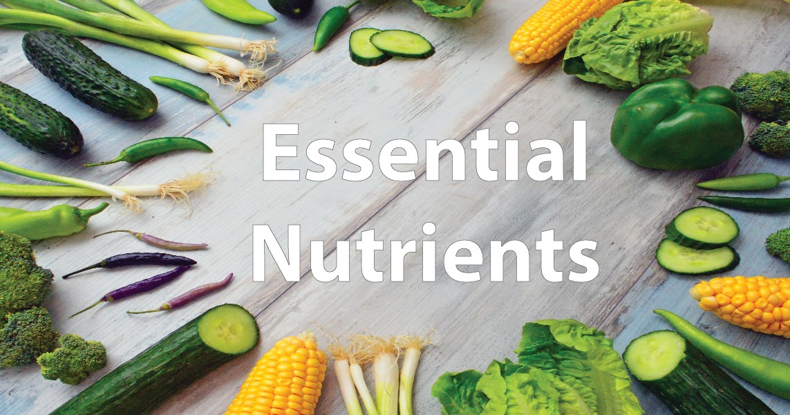 what is the definition of food and nutrition