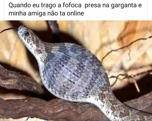 Memes engraçados Memes engraçados