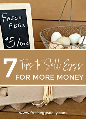 Captivating How Much Money Do You Get Selling Your Eggs Background in HD
