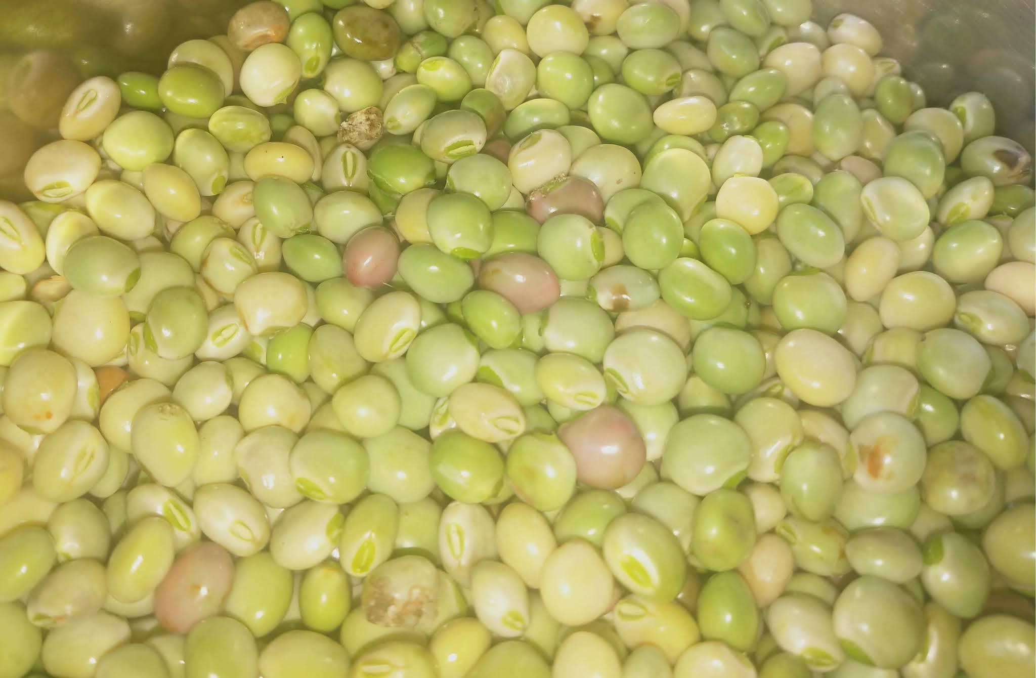 know about kannada and Karnataka Beans, Pulses in kannada and English