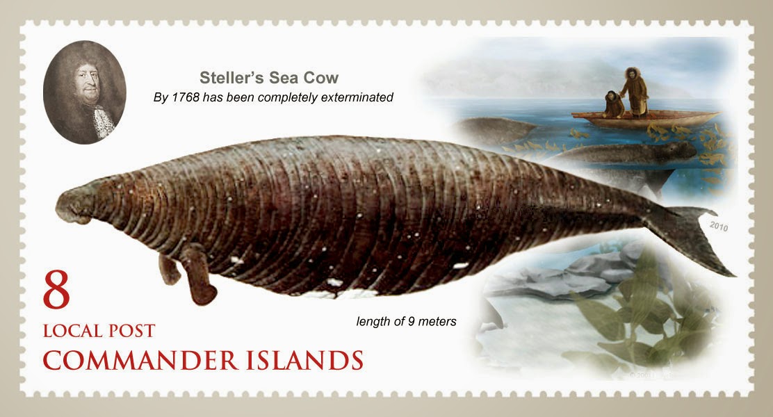 ShukerNature: STELLER'S SECRET FAUNA – GARGANTUAN SEA-COWS ...