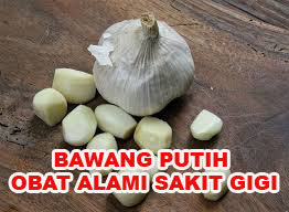 SAKIT GIGI HILANG DENGAN OBAT ALAMI BAWANG PUTIH  husnuls492.com