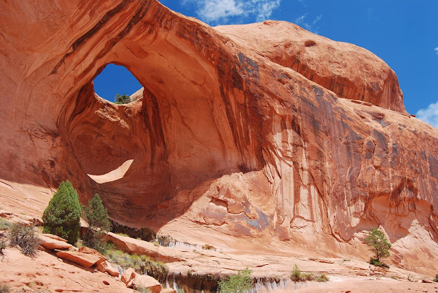 Bowtie Arch Bowtie Arch