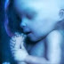Vídeo incrível: a formação de um bebê, da concepção ao parto