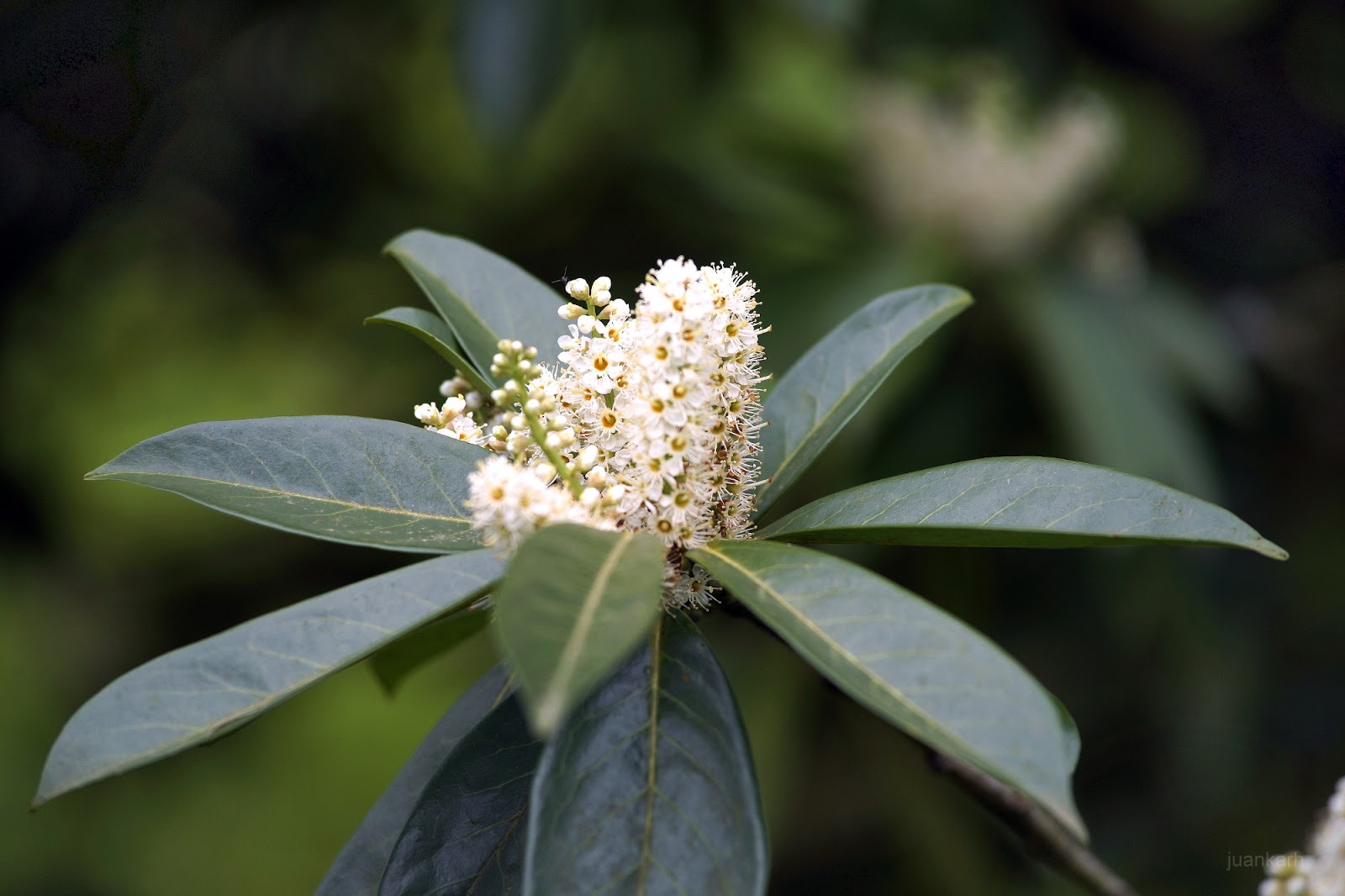 Fototeka, bizileku Amaiera, hasiera Ending, Beginning