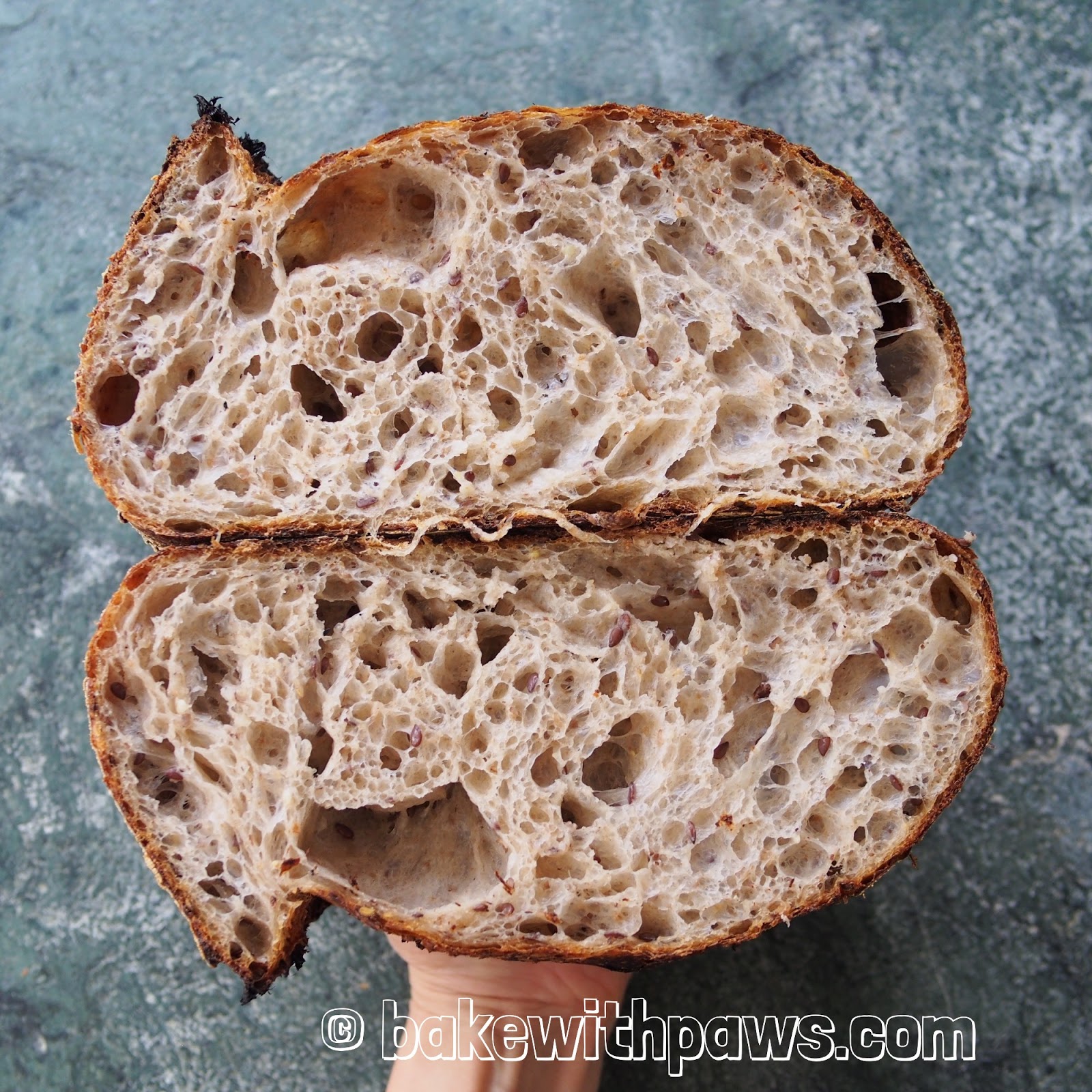 Multigrain Open Crumb Sourdough Bread BAKE WITH PAWS