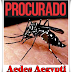Mosquitinho sem noção