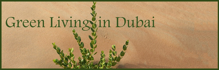 Green Living in Dubai