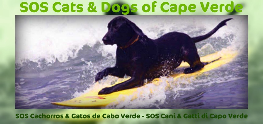 SOS Cats and Dogs of Cape Verde