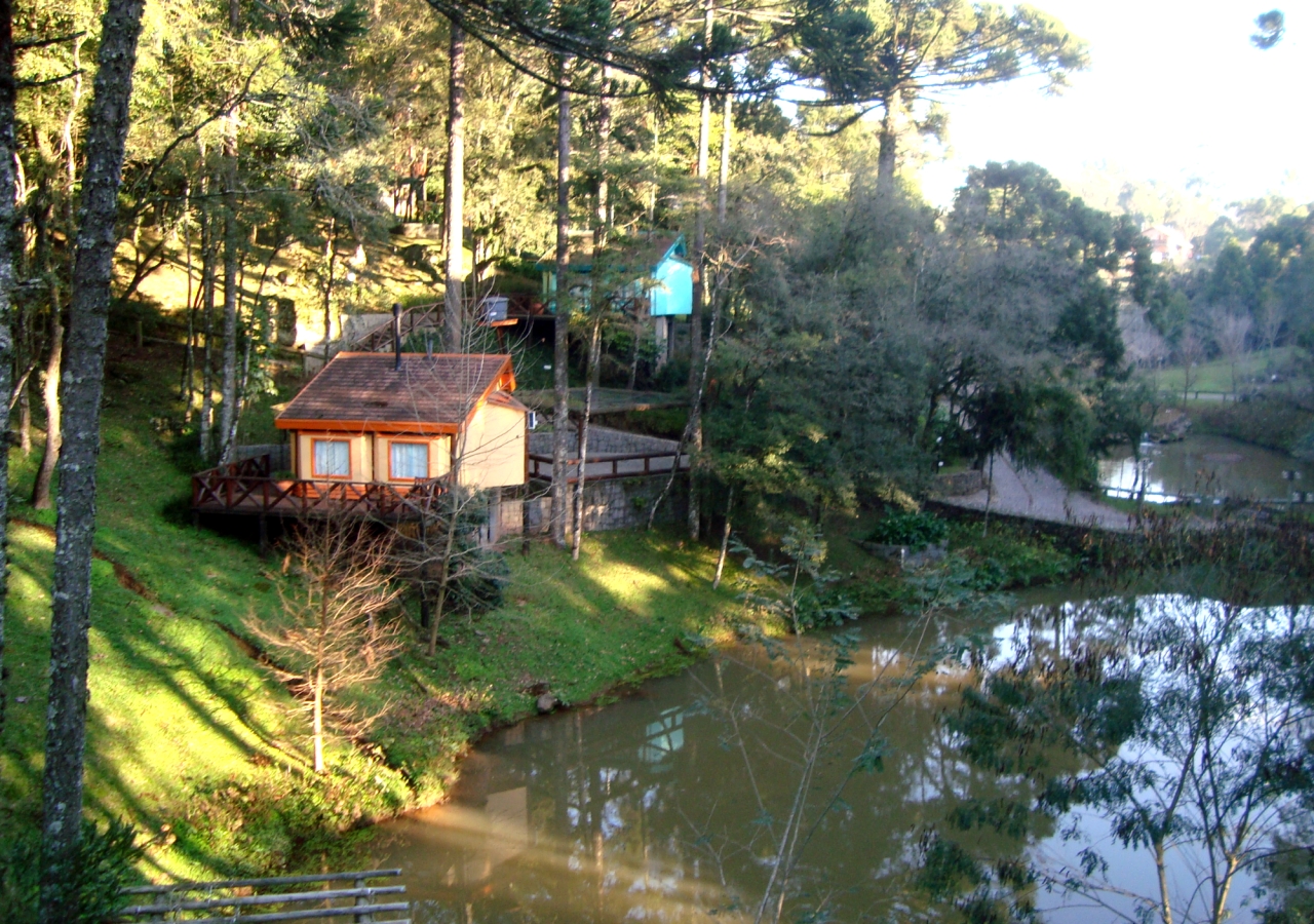 Vida em Movimento Nova Petrópolis RS