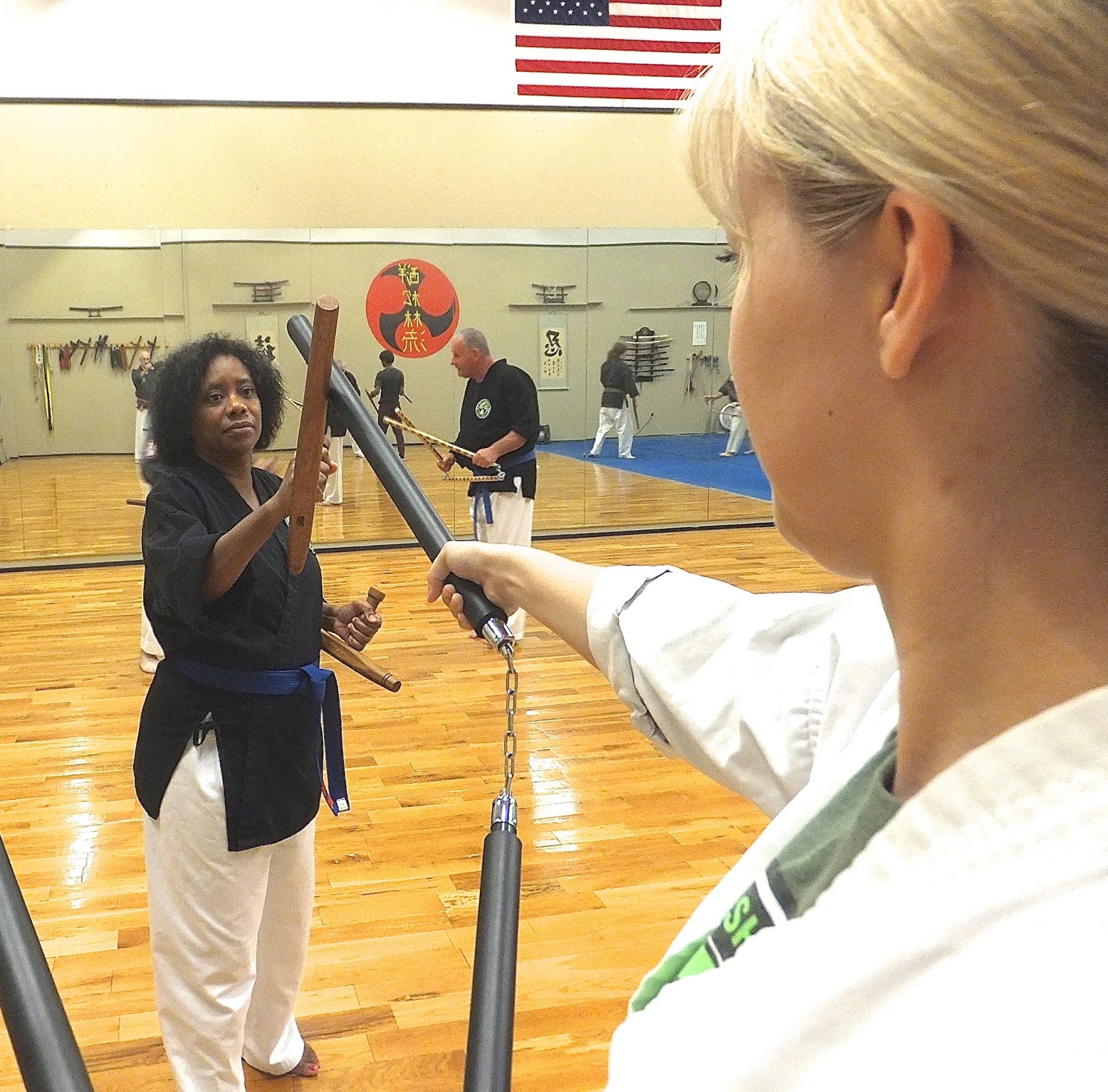 Journal of a Grandmaster Soke of ShorinRyu Karate & Kobudo