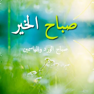 صباح الخير, صباح الورد, صور الصباح, صور, مكتوب عليها