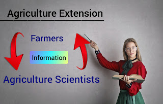 BRANCHES OF AGRICULTURE IN HINDI l कृषि की विभिन्न शाखाएँ इन हिंदी