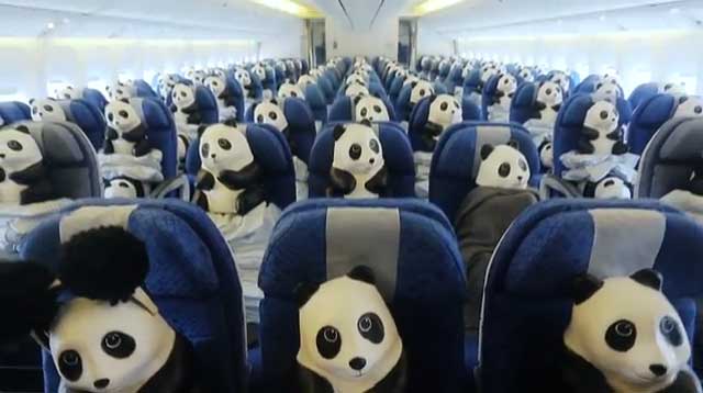 Nothing To Do With Arbroath: 1600-strong papier mâché panda army have ...