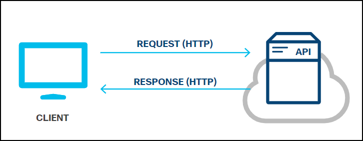 Little Learn: Understanding and Using APIs (4)