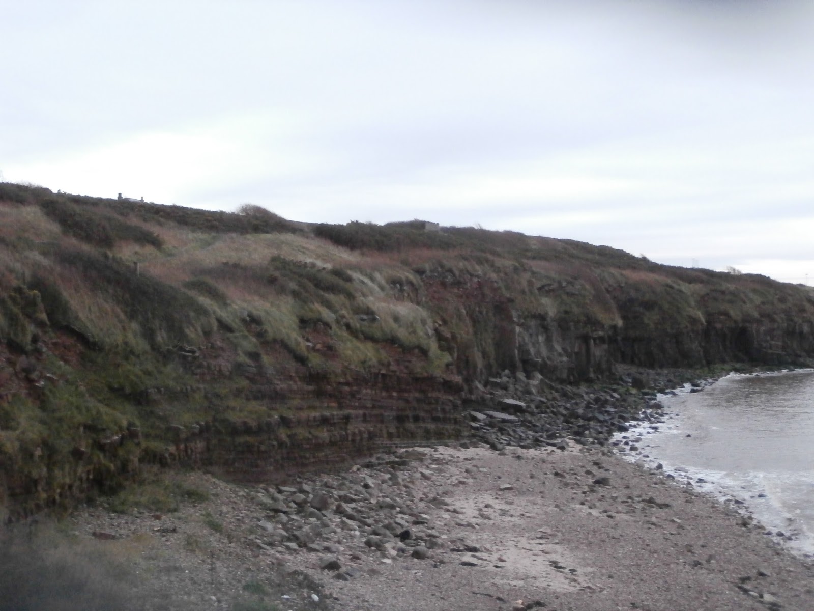 Heysham Bird Observatory More Chough circuitary