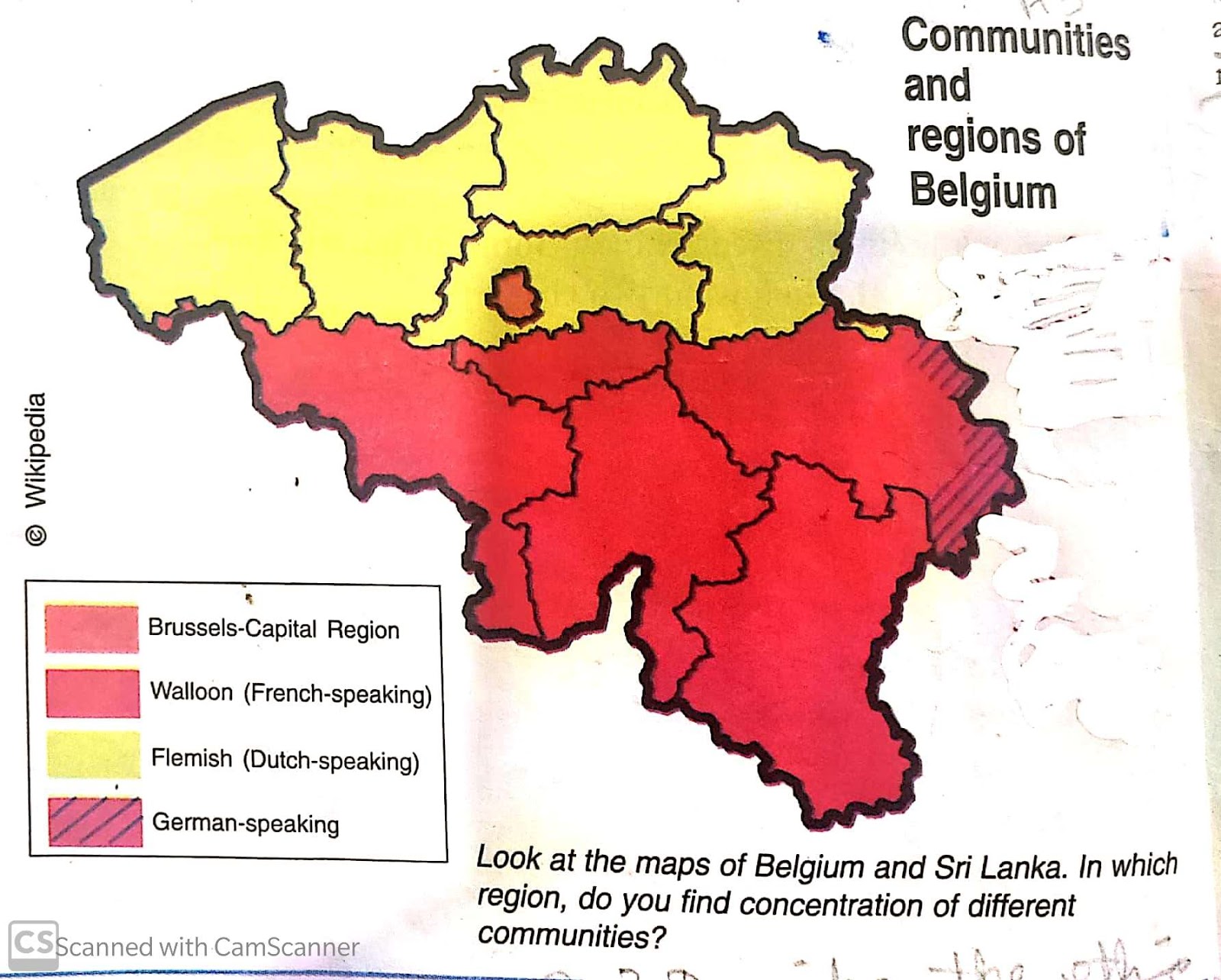 what is the ethnic composition of belgium and brussels
