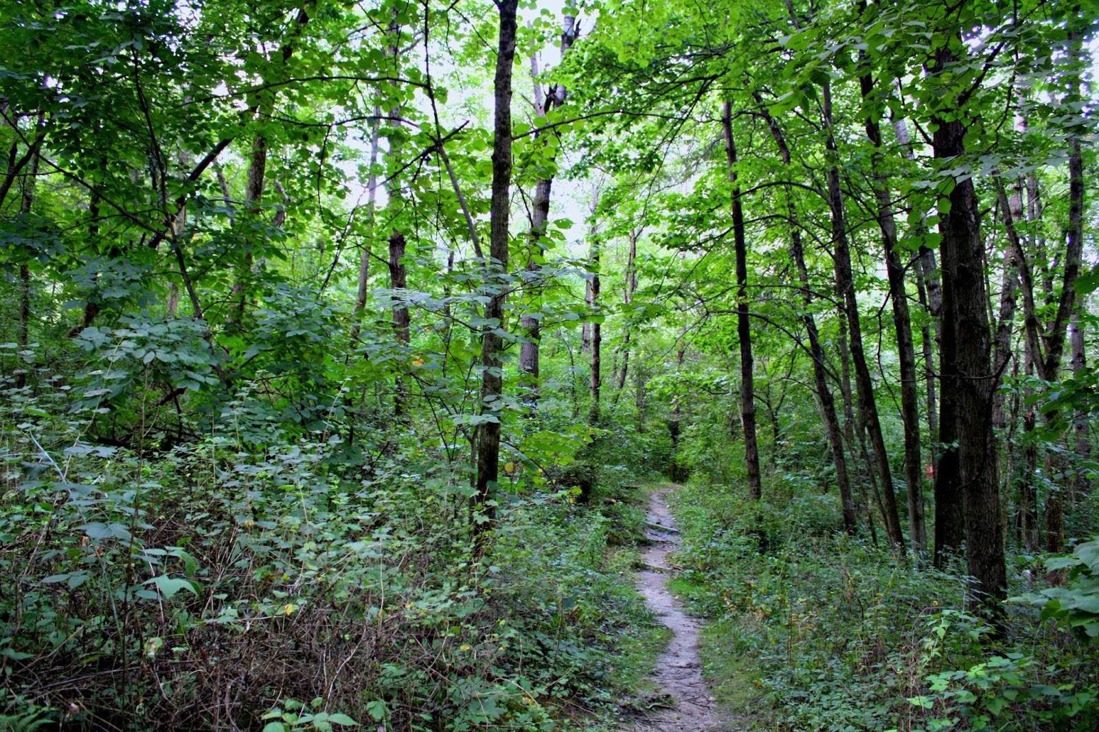 A Little Time and a Keyboard Hiking during our Galena Weekend