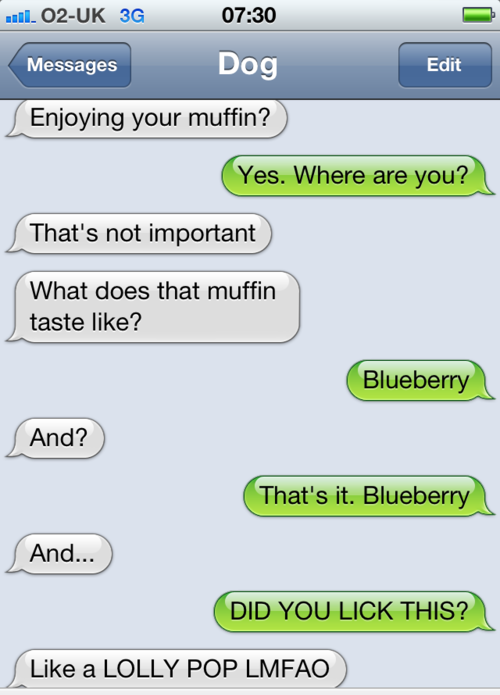 Dog Licks Everything, Let’s Be Real (example Best Theme)