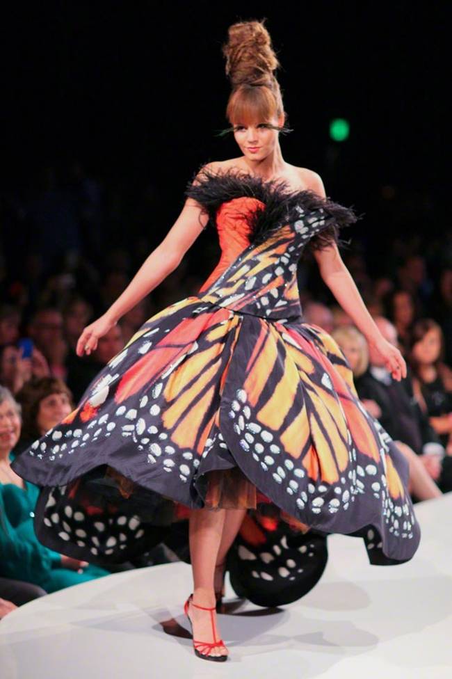 Pix Guru The Monarch Butterfly Dress by Luly Yang