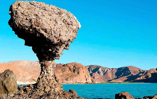 La Paz Tour from San Jose del Cabo La Paz Tour from Cabo San Lucas