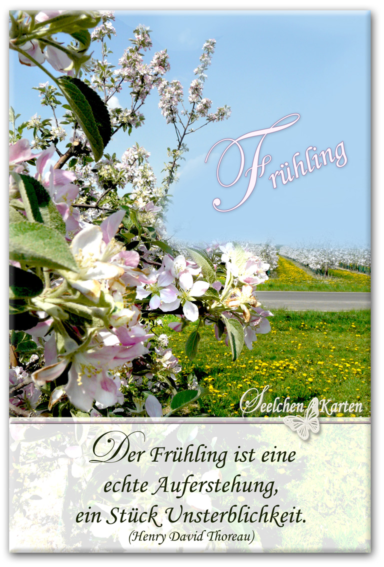 Seelchen Karten und Collagen : Karte Frühling Seelchen Karten und Collagen : Karte Frühling