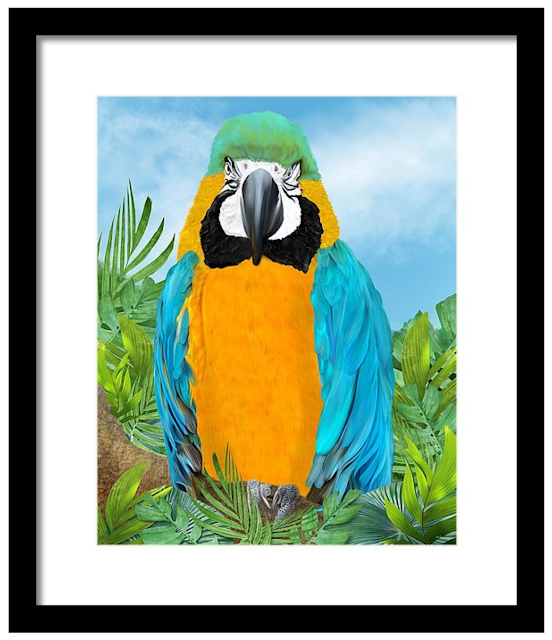 tropical parrot, art, Mark Taylor, Fine Art America, wildlife art,