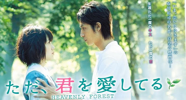 Download Subtitle Indonesia Heavenly Forest 2006