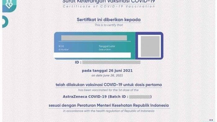 contoh sertifikat vaksin COVID-19