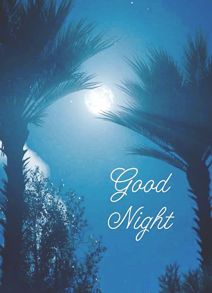 Good Night ji ,Goodnight, शुभ रात्री