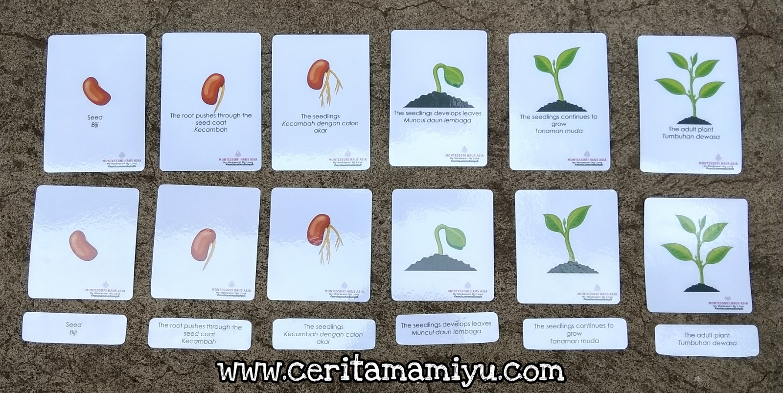 VHAranie�s BLOG Berkenalan dengan Metode Montessori