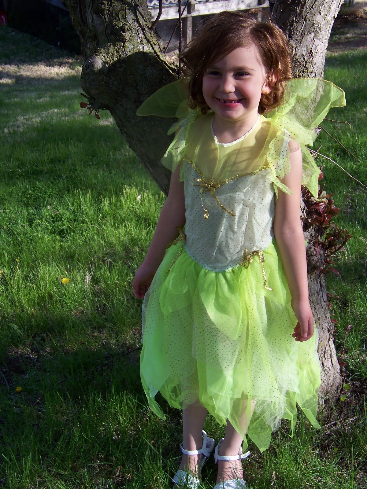 Lisa's Free Stuff: Tinkerbell Child's Costume Review