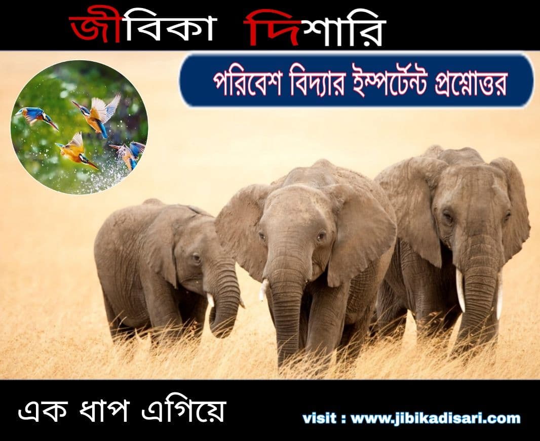 পরিবেশ বিদ্যার ইম্পর্টেন্ট প্রশ্নোত্তর Pdf// Environmental Science In Bengali Pdf