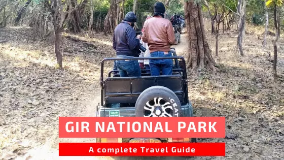Gir National Park Travel Guide