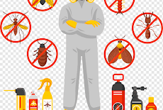 شركة مكافحة حشرات بخليص 0547379846 رش مبيدات ابادة فورية للحشرات الزاحفة والطائرة فى خليص