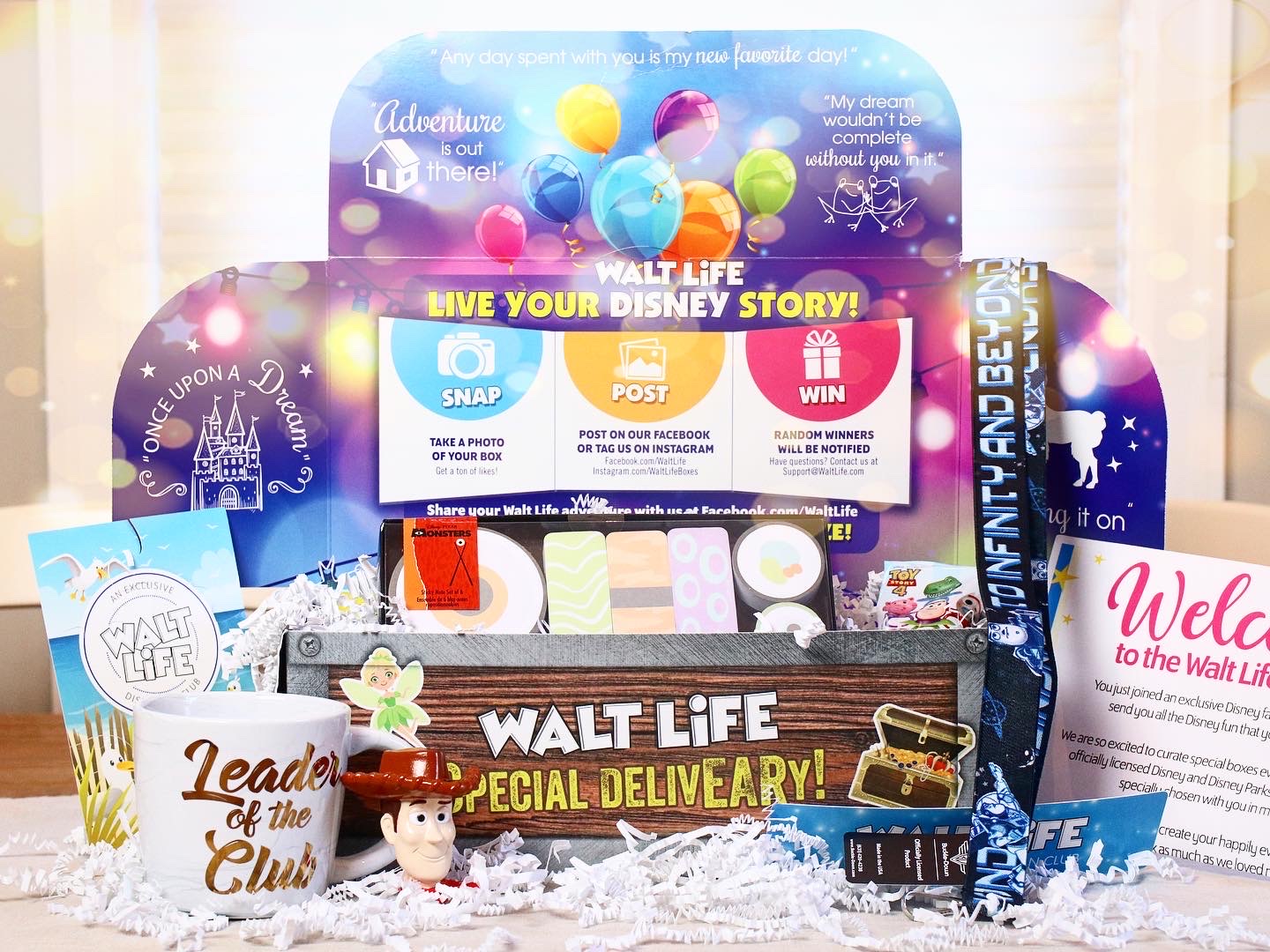 "Walt Life" Monthly Subscription Box REVIEW! 