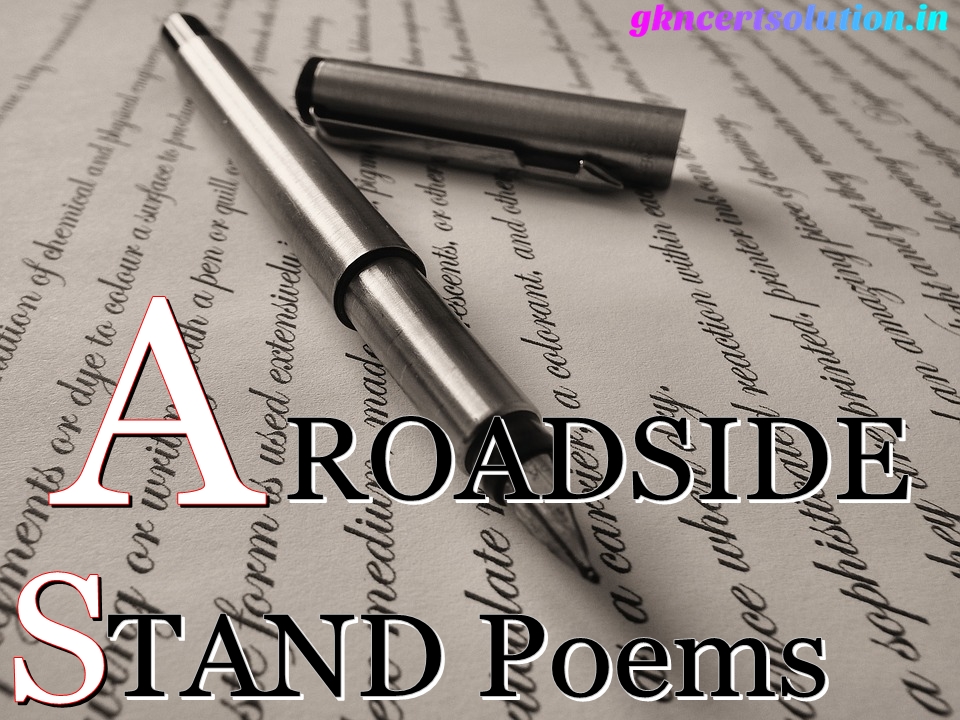 A ROADSIDE STAND Poems HANDWRITTEN NOTES PDF