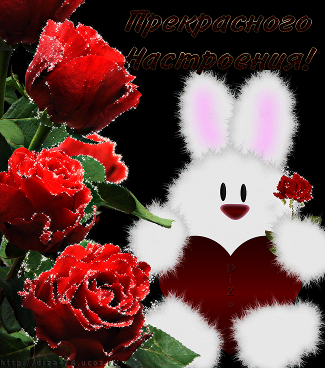 Цветы в мужских руках. Роза в руке. Самые лучшие пожелания. Цветы милому человеку. Цветы хорошему человеку.