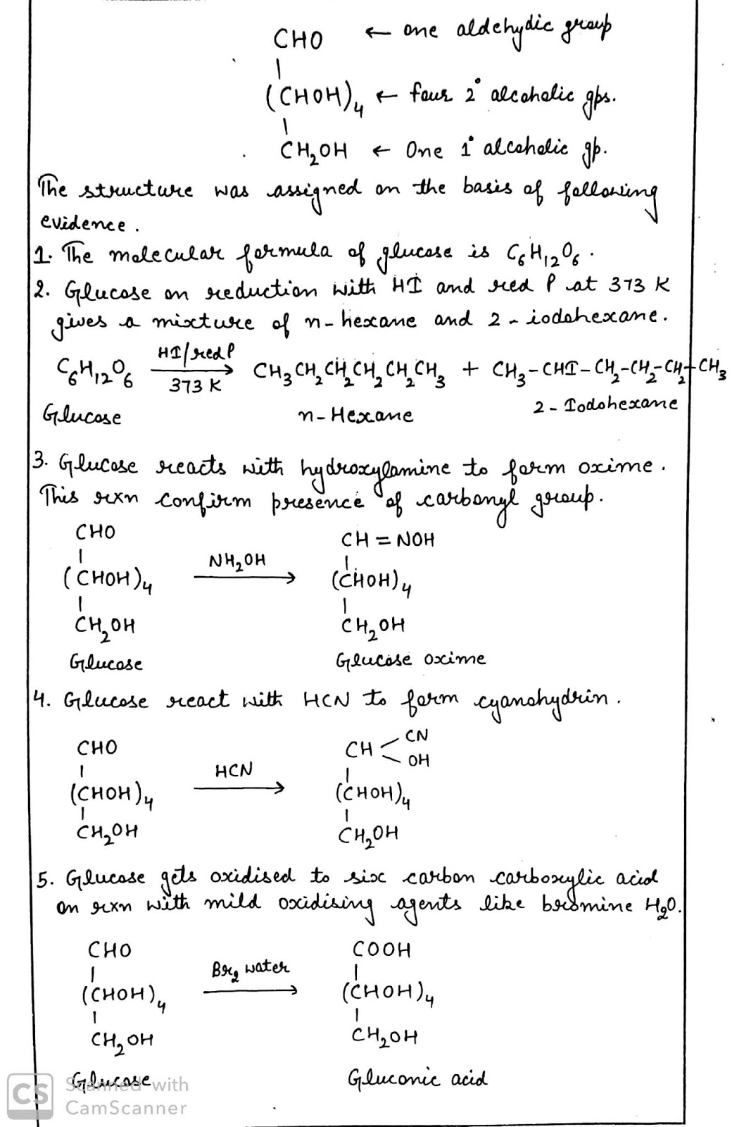 Biomolecules Handwriten Notes for Class 12th Chemistry