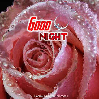 good night beautiful rose images