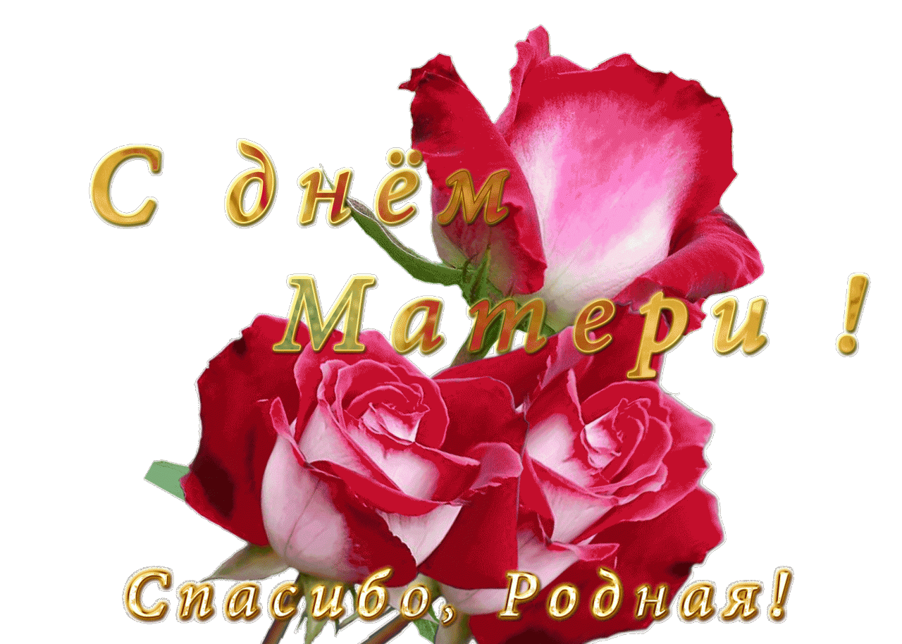 Картинки с днем мамы красивые
