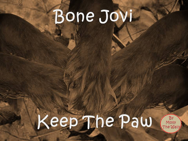 Keep The Faith Bon Jovi album cover by Molly The Wally!