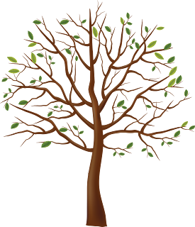 TREE PNG IMAGES PNG TREE PNG HD FREE PNG IMAGES PNG TREES HD TREE FULL