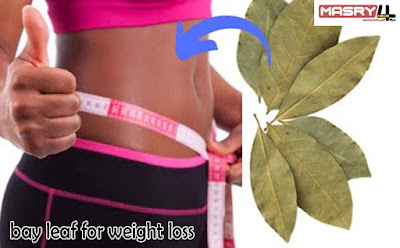 ورق اللورا للتخسيس bay leaf for weight loss