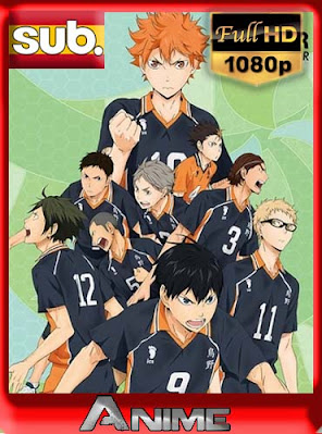 Haikyuu!! temporada 1 HD [1080P] subtitulada [GoogleDrive-Mega] dizonHD 