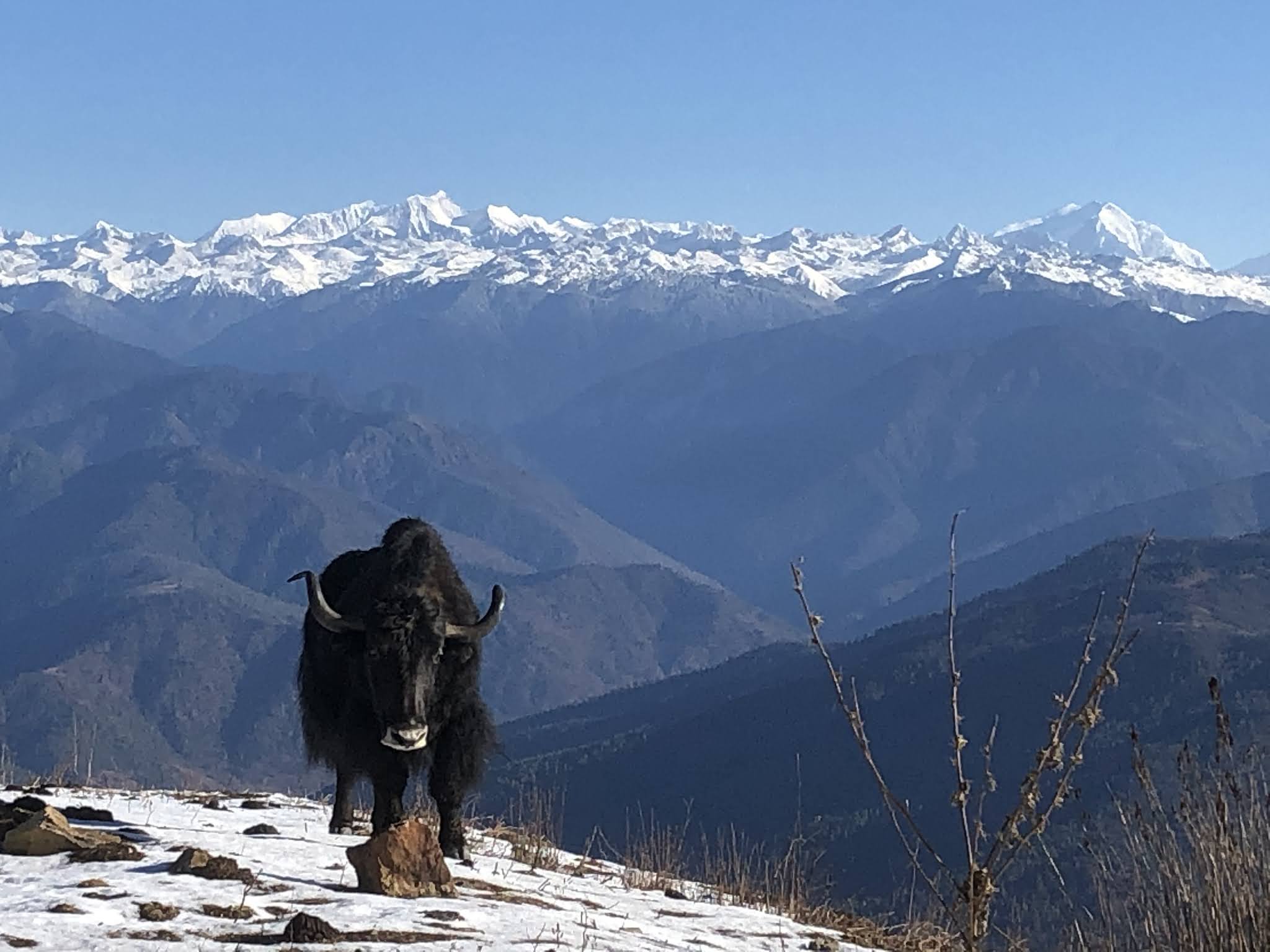 Bruce Wedderburn's Trip Reports