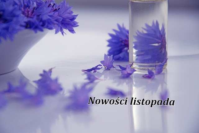 Nowości listopada