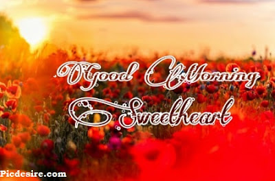 Good Morning Sweetheart, Best 20 Images of Good morning Sweetheart Good Morning Sweetheart, Best 20 Images of Good morning Sweetheart